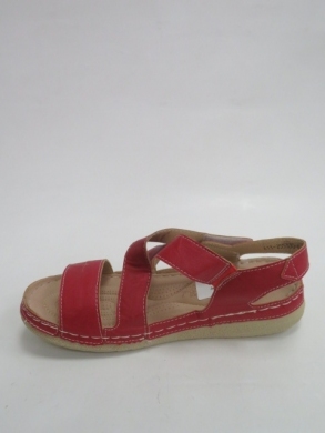 Sandały Damskie Sportowe (36-41) A-11 RED