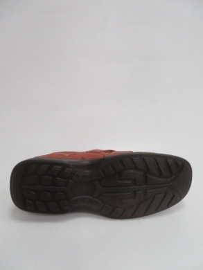 Półbuty męskie -skórzane (40-46) 3871-2 BROWN