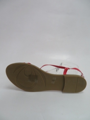 Sandały damskie na płaskim (36-41) N-50 RED