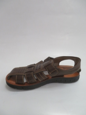 Sandały męskie (40-45) 3801-3 BROWN