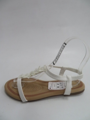 Sandały Damskie na płaskim (36-41) S11183 WHITE