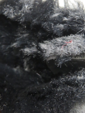 Emu dziewczęce (30-35) C-02 BLACK