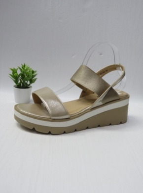 Sandały damskie na koturnie (36-41) SF-59 GOLD