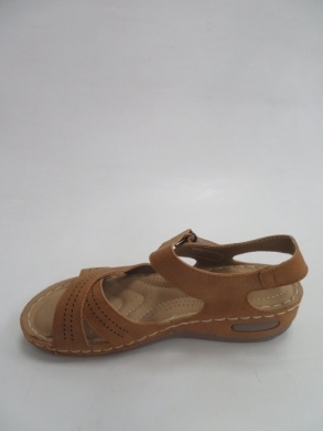 Sandały Damskie na płaskim (36-41) D80 CAMEL